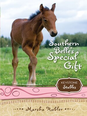 cover image of Southern Belle's Special Gift